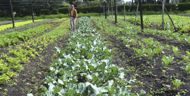 Fotos archivo EL HERALDO