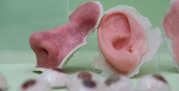 Fotos archivo EL HERALDO