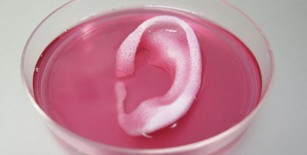 Fotos archivo EL HERALDO