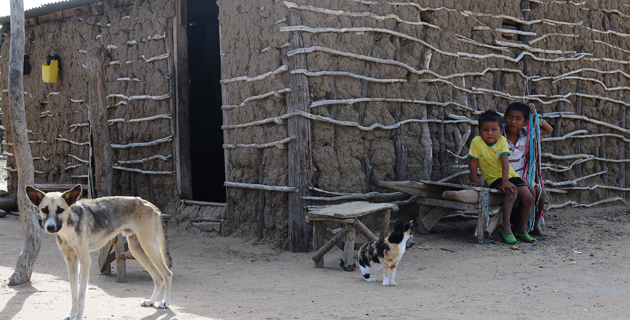 Fotos archivo EL HERALDO