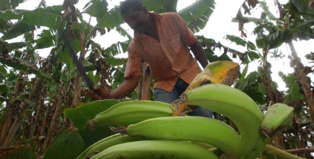 Fotos archivo EL HERALDO