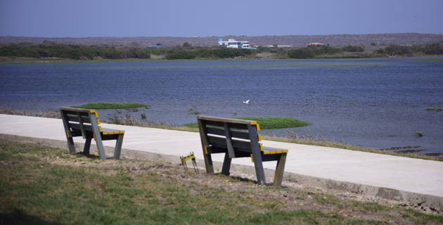 Fotos archivo EL HERALDO