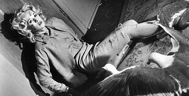 Fotos archivo EL HERALDO