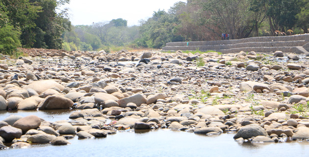 Fotos archivo EL HERALDO