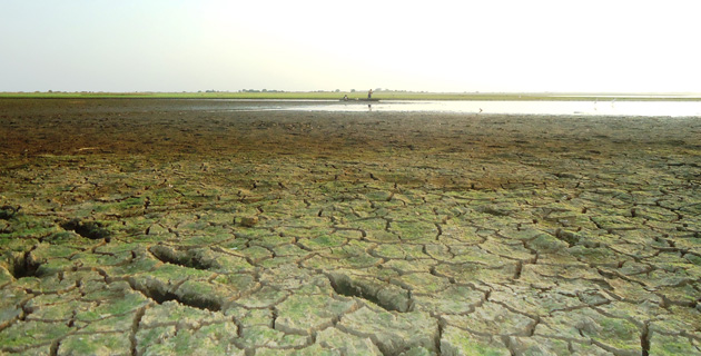 Fotos archivo EL HERALDO