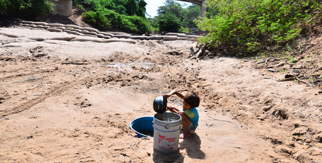Fotos archivo EL HERALDO