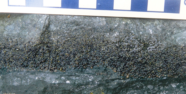 Fotos archivo EL HERALDO