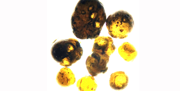 Fotos archivo EL HERALDO