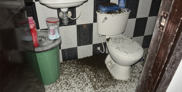 Fotos archivo EL HERALDO