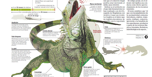 Fotos archivo EL HERALDO