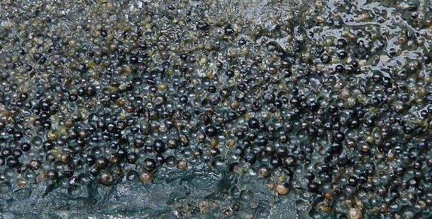 Fotos archivo EL HERALDO