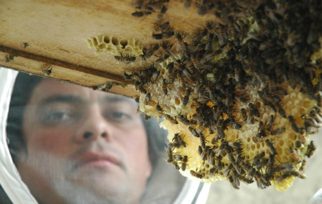 Fotos archivo EL HERALDO