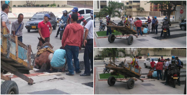 Fotos archivo EL HERALDO