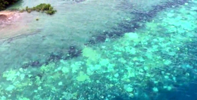 Fotos archivo EL HERALDO