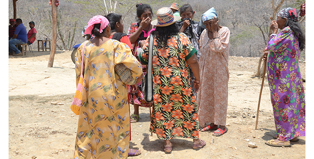 Fotos archivo EL HERALDO