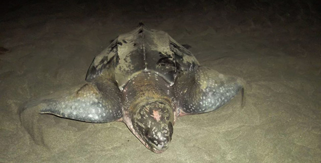 Fotos archivo EL HERALDO