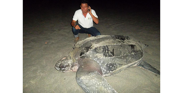 Fotos archivo EL HERALDO