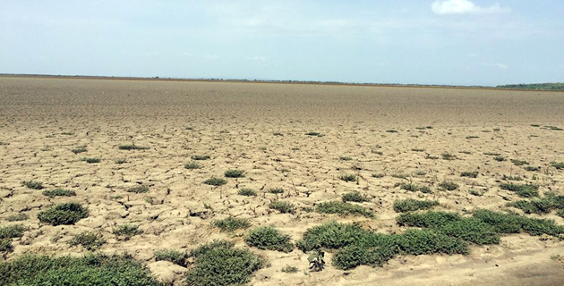 Fotos archivo EL HERALDO