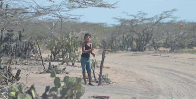 Fotos archivo EL HERALDO