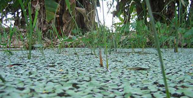 Fotos archivo EL HERALDO