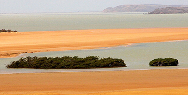 Fotos archivo EL HERALDO