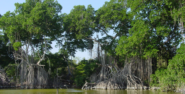 Fotos archivo EL HERALDO