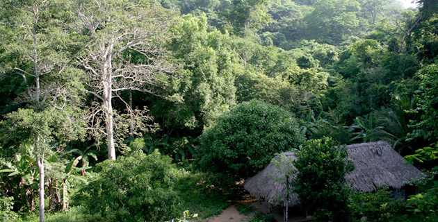 Fotos archivo EL HERALDO