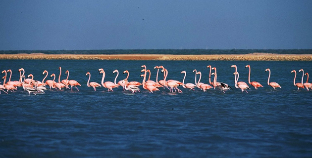 Fotos archivo EL HERALDO