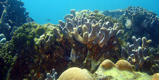 Fotos archivo EL HERALDO