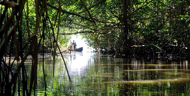 Fotos archivo EL HERALDO