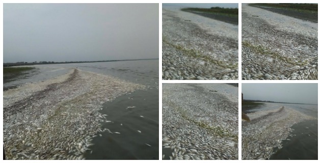 Fotos archivo EL HERALDO