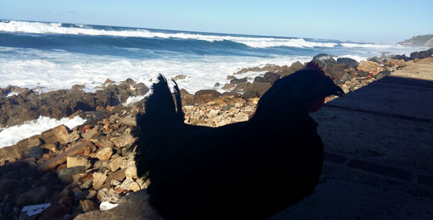 Fotos archivo EL HERALDO