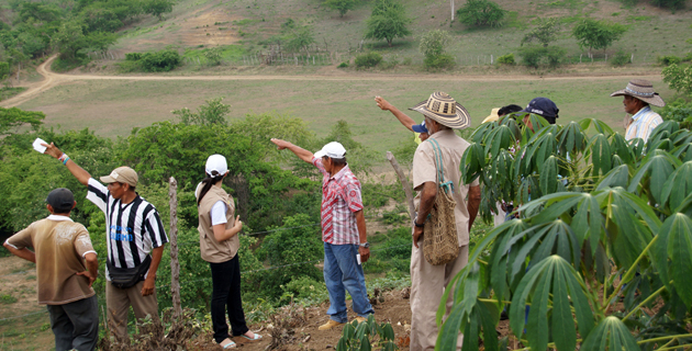 Fotos archivo EL HERALDO