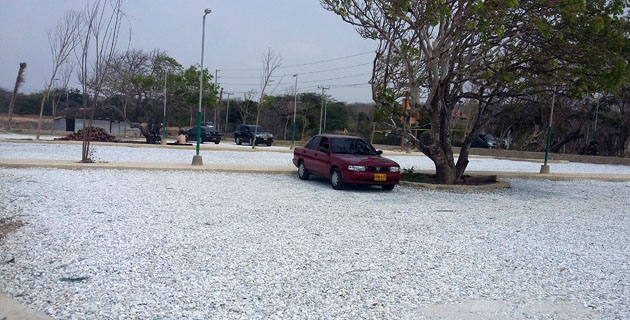 Fotos archivo EL HERALDO