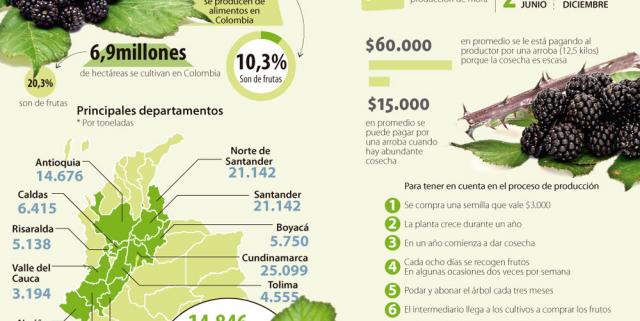 Fotos archivo EL HERALDO