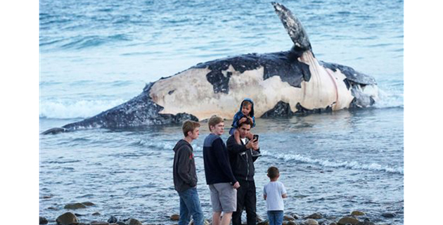 Fotos archivo EL HERALDO