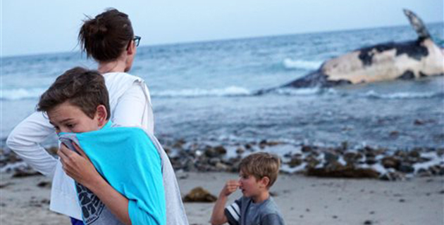 Fotos archivo EL HERALDO