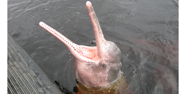 Fotos archivo EL HERALDO