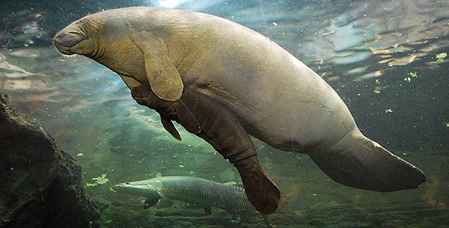 Fotos archivo EL HERALDO