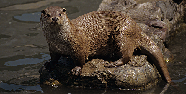 Fotos archivo EL HERALDO