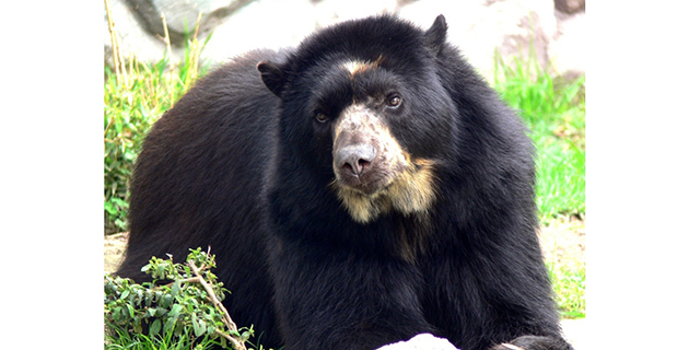 Fotos archivo EL HERALDO