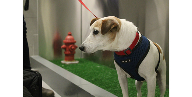 Fotos archivo EL HERALDO