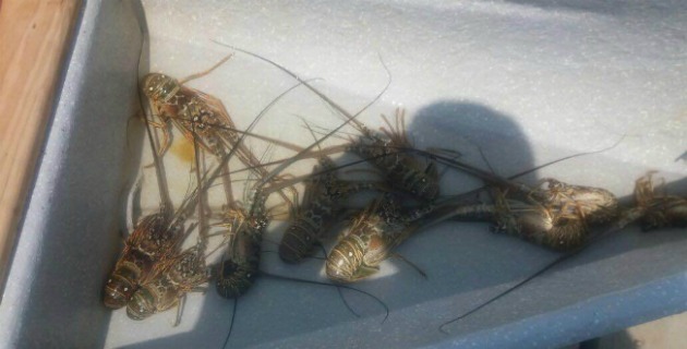 Fotos archivo EL HERALDO