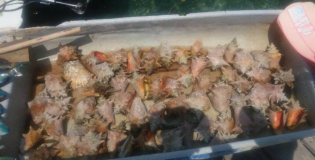 Fotos archivo EL HERALDO