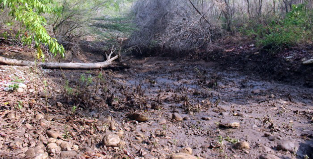 Fotos archivo EL HERALDO