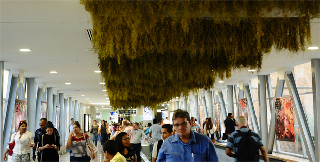 Fotos archivo EL HERALDO