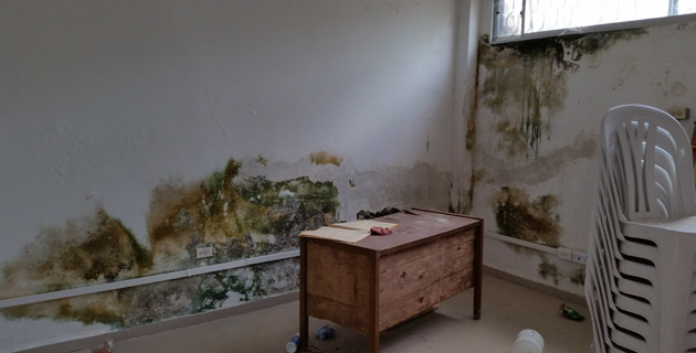 Fotos archivo EL HERALDO