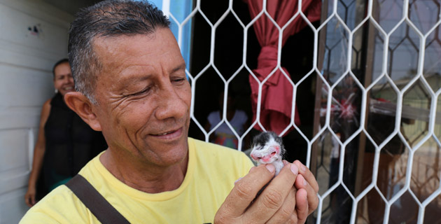 Fotos archivo EL HERALDO