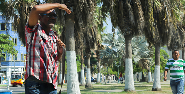 Fotos archivo EL HERALDO