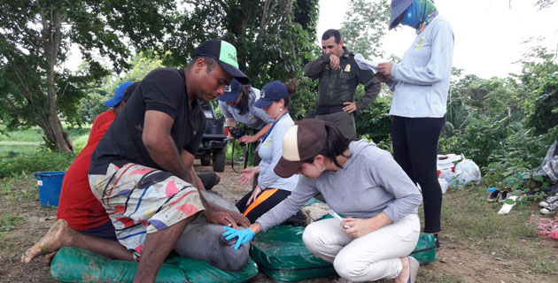 Fotos archivo EL HERALDO